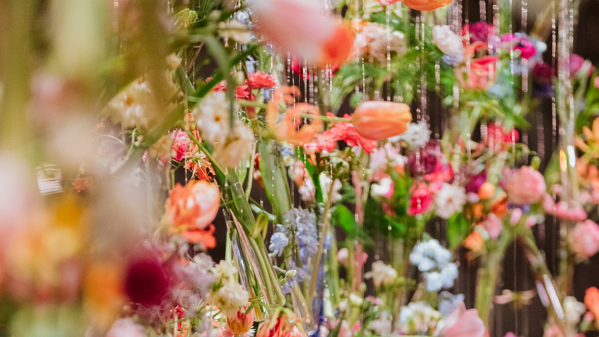 Mar15 TM25 Flowerwall Maison Rowena 7