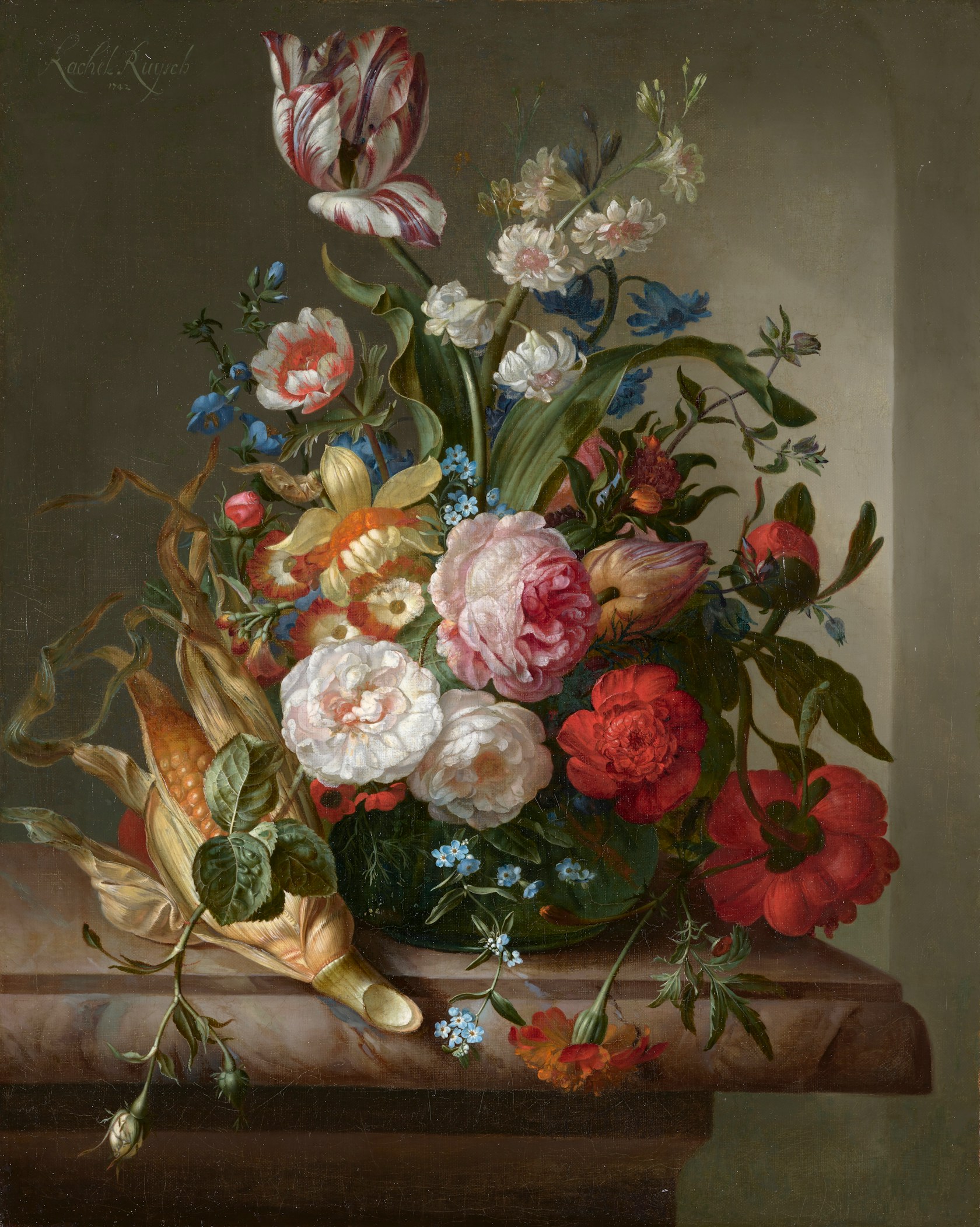 Ruysch