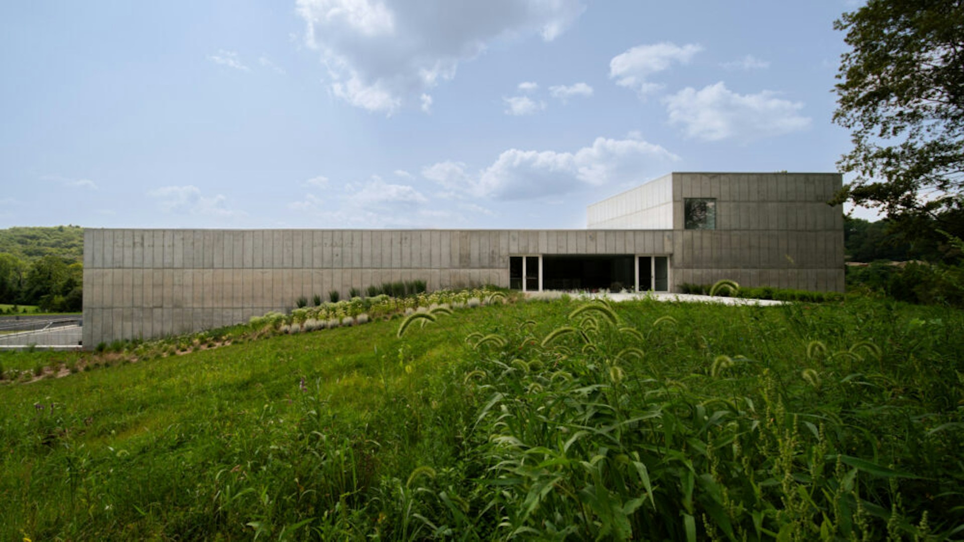 William Mulvihill Courtesy of MQ Architecture 16